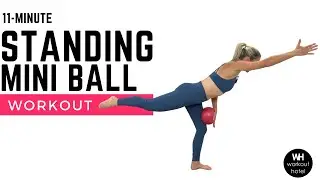STANDING MINI BALL | Pilates Inspired| Balance + Mobility Workout
