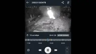 кого засняли камеры