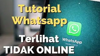 Tutorial Whatsapp Tidak Terlihat Online dan Ceklis Biru Padahal sudah dibaca