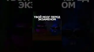 ТВОЙ МОЗГ ПЕРЕД ЭКЗАМЕНОМ
