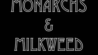 Monarchs and Milkweed