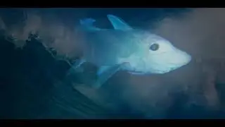 Океан