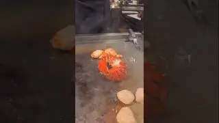 Grilling lobster Hibachi-style tastes better #ASMR