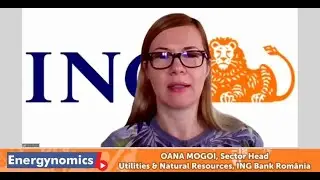 Oana Mogoi, Sector Head Utilities & Natural Resources, ING Bank România 28 ian Energynomics