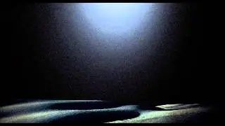Terence McKenna - Science Fiction Gives Permission to Imagine