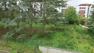 Sony Xperia 1 VI - test de la caméra