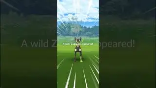 first ever Zygarde in pokemon go.