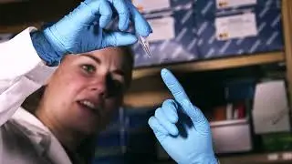 BIOMED PROMO VID
