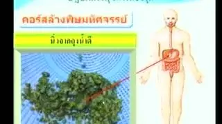 ล้างพิษตับอ.ขวัญดิน2