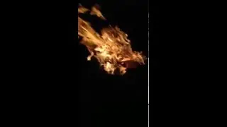 Огонь