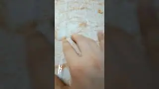 Как приучить собаку к лотку.