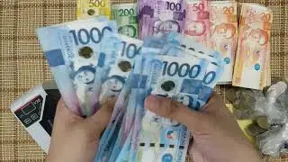 [47] ASMR MONEY SORT & COUNT - Let's Sort and Count 170,502.00 Philippine Pesos (PHP)