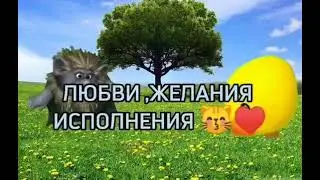 1 ноября 2021 г.