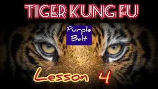 learning kung fu at small space / tiger kung fu lesson 4 / 虎拳第四课