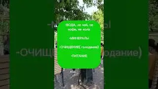 что нужно человеческой клетке₽#shorts_ #shortsvideo #shortsyoutube