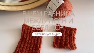Чем отличаются соед. Ссн от пссн