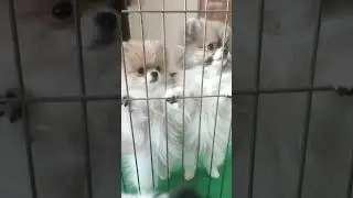 Помогите!!!