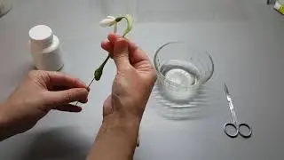 Snowdrops Part 2. Polymer clay flowers (cold porcelain)