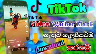 How To Download TikTok Video Without WatherMark / GR Lakshan
