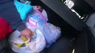 ПРИЮТ ДЛЯ БЕЗДОМНЫХ ЖИВОТНЫХ ДОБРИК ВИТЕБСК
