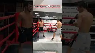 Бои поп мма Вершина! Жёстко зарубились!#бои, #попмма, #вершина,