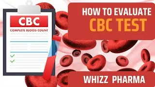 Brief Introduction to Complete Blood count (CBC) and normal range of CBC and WBCs