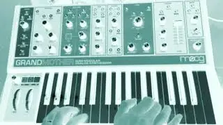 Moog Grandmother Funk Bass Line #2