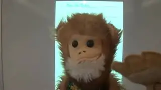 Listening to Music with Mimi the Monkey