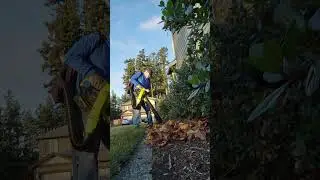 Bye-Bye Pesky Leaves! Ryobi and Black and Decker to the Rescue