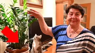 МАМА ПОКАЗЫВАЕТ СВОИ ПОКУПКИ!!!