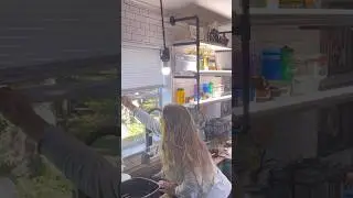 Messy real life mom vlog #asmr #cleaning #chickens #farmlife