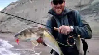 The Best Carp Fishing Tips - Learn Everything About Carp Fishing