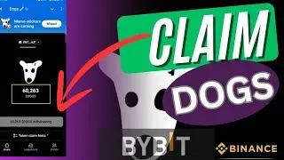 CLAIM DOGS AIRDROP: how to withdraw dogs coin to bybit exchange( okx, telegram, ton keeper wallets)