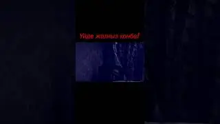 Үйде жалғыз қалма!