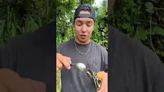 Huge difference 🥥 