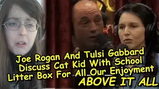 Joe Rogan And Tulsi Gabbard Discuss Cat Kid With School Litter Box For All Our Enjoyment