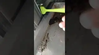 🫣🥴 Моя духовка после чудушек🧐До и после 👈🔥 хотела потестировать #средстводлядуховок и плит#личныйотз