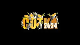 Сотка 2024