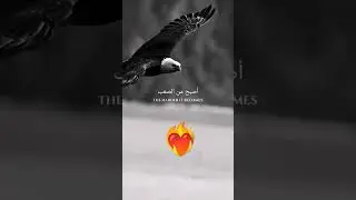 #الامارات #الجزائر #السعودية #المغرب #تونس #مصر #مغربية #مسلم