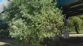 Отречение от Проклятого Рода...Инга Хосроева...Ведьмина Изба