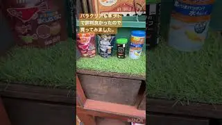 メダカ水槽211 餌のスタメンを変えました　#shorts #メダカ #aquarium #fish