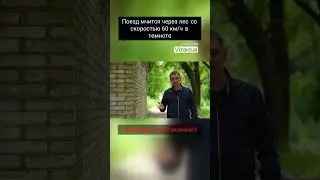 Поезд мчится через лес со скоростью 60 км ч в темноте