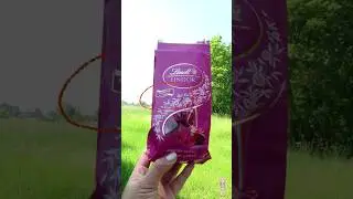 LINDOR Raspberry & Cream