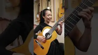 COOL guitar TRICK 🎩  | INSANE technique | Thu Le | Siccas Guitars | 