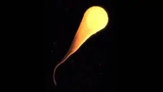 6 августа 2023 г.