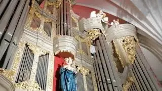 Melnikova Live concert, Konigsberg Cathedral ,23 January 2021