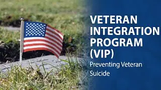 Veteran Integration Program (VIP): Veteran Suicide