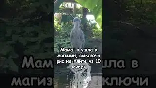 Запамятовал...