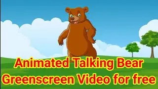 Animated cartoon Talking Bear Greenscreen Video 