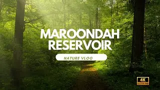 Maroondah Reservoir Park |victoria parks | Nature vlogs | Australia 4K